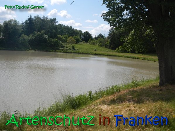 Copyright AiS Gerner Bild zum Eintrag (66519-160)