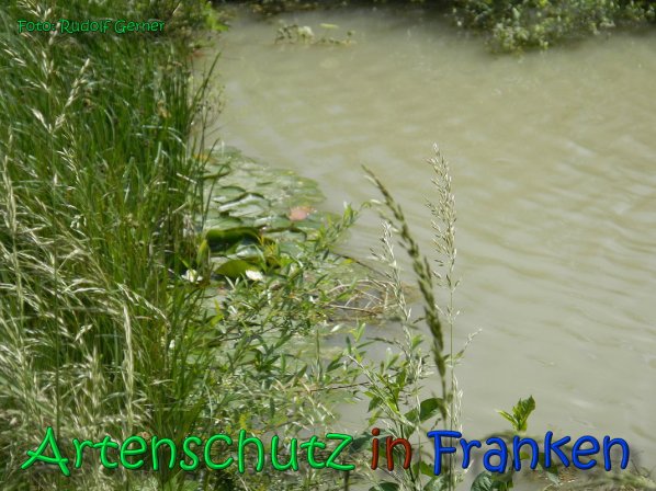 Copyright AiS Gerner Bild zum Eintrag (66521-160)