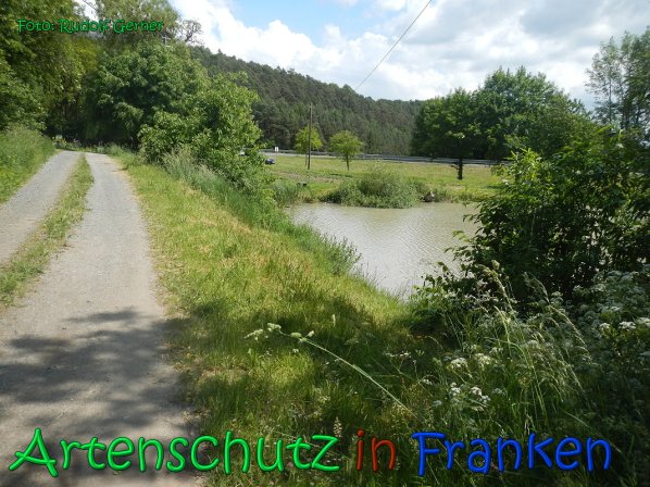 Copyright AiS Gerner Bild zum Eintrag (66522-160)