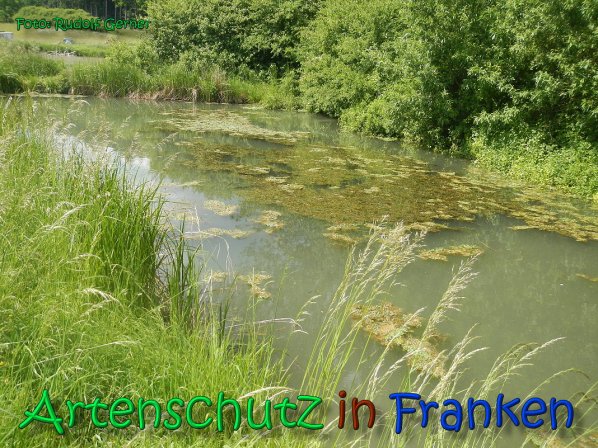 Copyright AiS Gerner Bild zum Eintrag (66523-160)