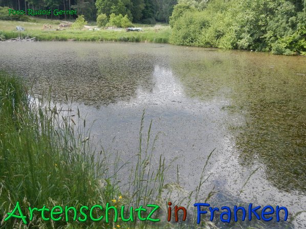 Copyright AiS Gerner Bild zum Eintrag (66526-160)