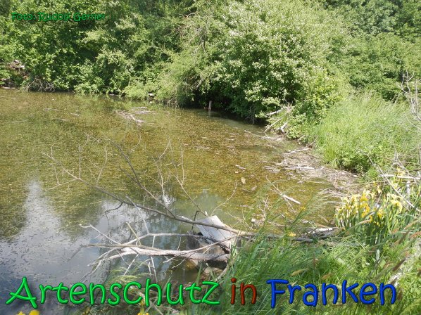 Copyright AiS Gerner Bild zum Eintrag (66527-160)