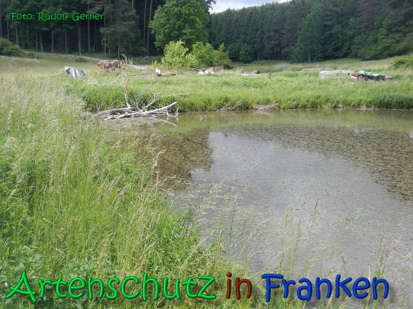 Copyright AiS Gerner Bild zum Eintrag (66528-160)