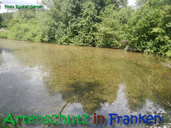 Copyright AiS Gerner Bild zum Eintrag (66530-160)