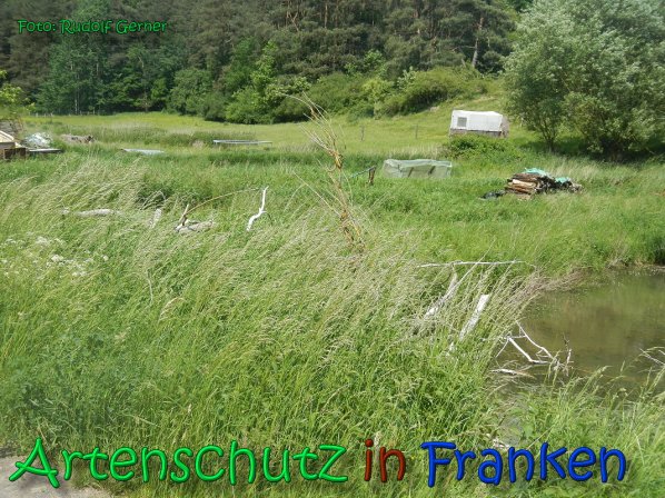 Copyright AiS Gerner Bild zum Eintrag (66531-160)
