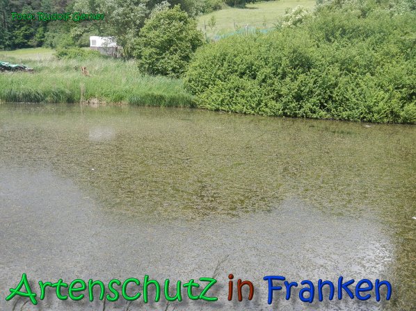 Copyright AiS Gerner Bild zum Eintrag (66532-160)