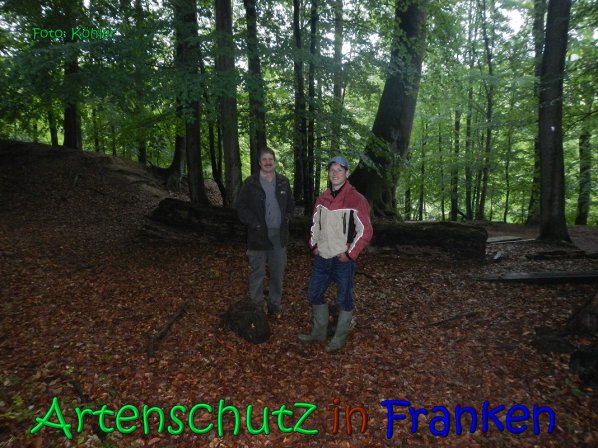 Copyright AiS Köhler Bild zum Eintrag (66626-160)