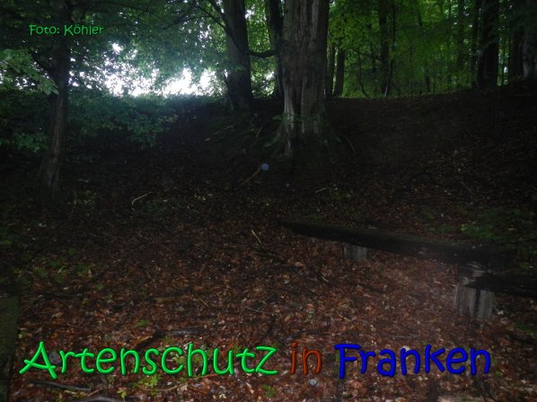 Copyright AiS Köhler Bild zum Eintrag (66627-160)