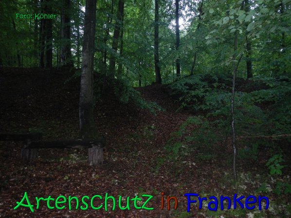 Copyright AiS Köhler Bild zum Eintrag (66628-160)