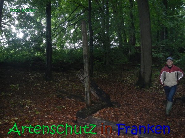 Copyright AiS Köhler Bild zum Eintrag (66630-160)