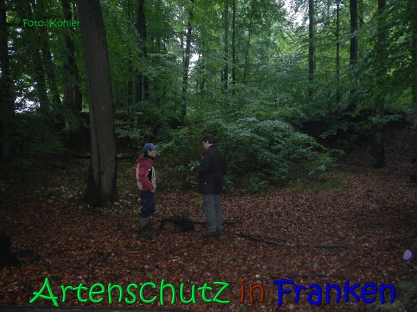 Copyright AiS Köhler Bild zum Eintrag (66633-160)