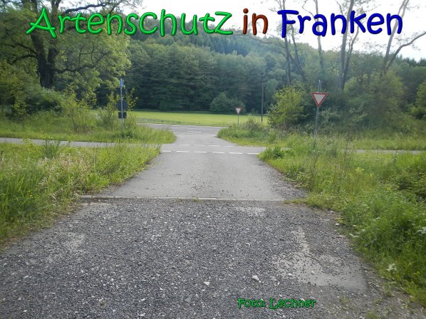 Copyright AiS Lechner Bild zum Eintrag (66925-160)