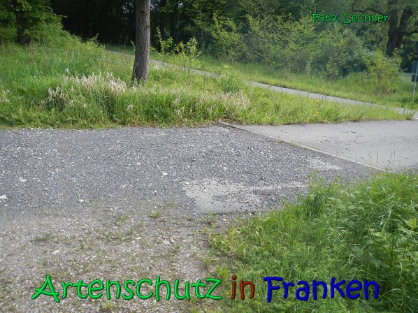 Copyright AiS Lechner Bild zum Eintrag (66926-160)