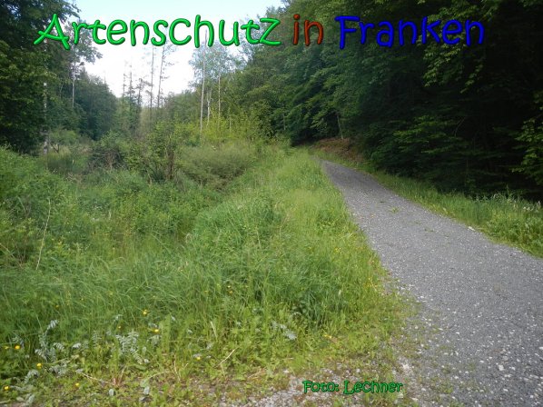 Copyright AiS Lechner Bild zum Eintrag (66927-160)
