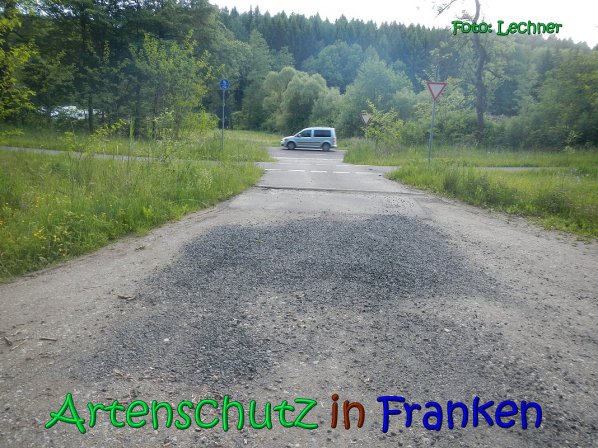 Copyright AiS Lechner Bild zum Eintrag (66928-160)