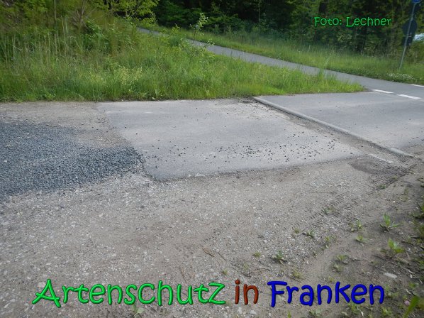 Copyright AiS Lechner Bild zum Eintrag (66929-160)