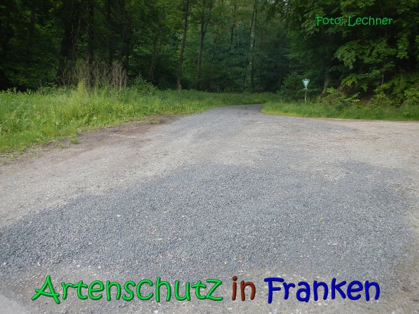 Copyright AiS Lechner Bild zum Eintrag (66930-160)
