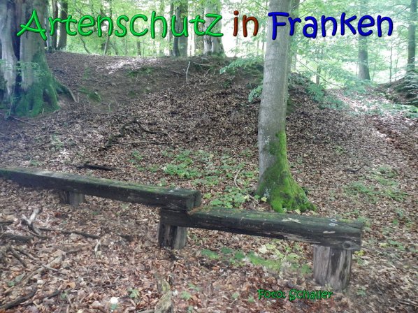Copyright AiS Schaller Bild zum Eintrag (66942-160)