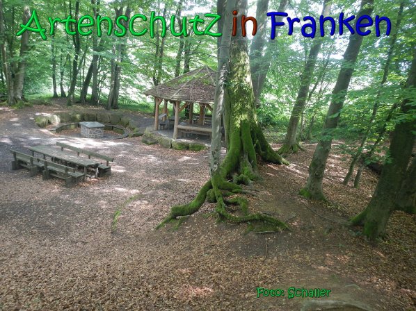 Copyright AiS Schaller Bild zum Eintrag (66943-160)