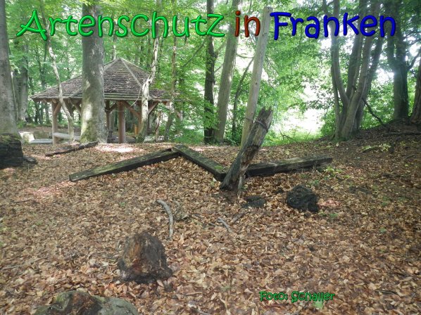 Copyright AiS Schaller Bild zum Eintrag (66944-160)
