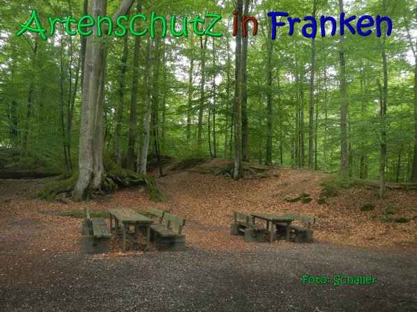Copyright AiS Schaller Bild zum Eintrag (66951-160)