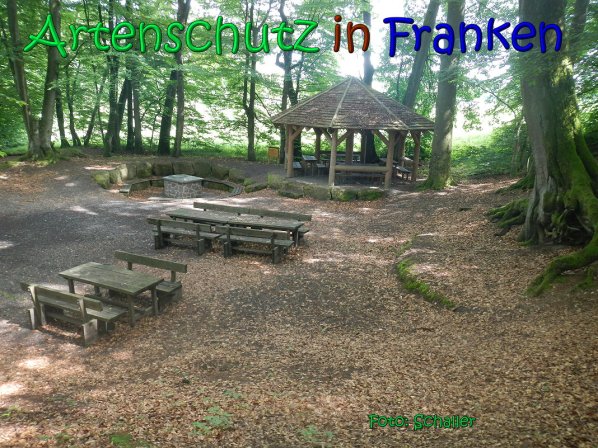 Copyright AiS Schaller Bild zum Eintrag (66962-160)