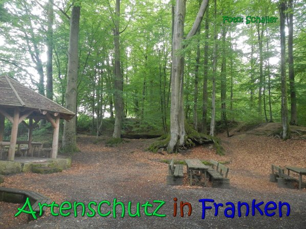 Copyright AiS Schaller Bild zum Eintrag (66970-160)