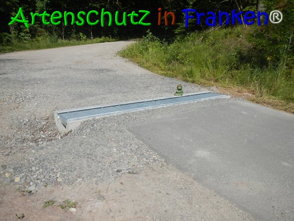 Copyright AiS Lechner Bild zum Eintrag (68057-160)