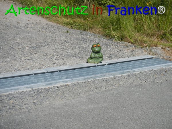 Copyright AiS Lechner Bild zum Eintrag (68058-160)