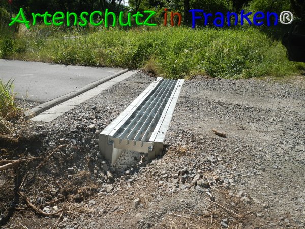 Copyright AiS Lechner Bild zum Eintrag (68059-160)