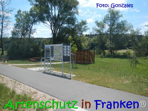 Copyright AiS Gonzales Bild zum Eintrag (68071-160)