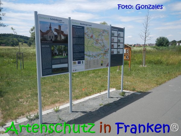Copyright AiS Gonzales Bild zum Eintrag (68072-160)