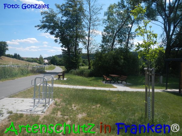 Copyright AiS Gonzales Bild zum Eintrag (68074-160)