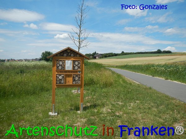 Copyright AiS Gonzales Bild zum Eintrag (68076-160)