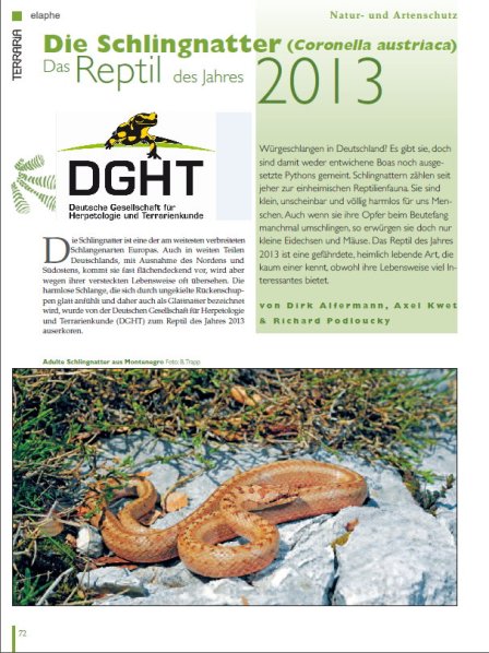Copyright AiS - Deutsche Gesellschaft für Herpetologie und Terrarienkunde e. V. Bild zum Eintrag (68101-160)