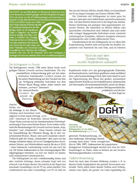 Copyright AiS - Deutsche Gesellschaft für Herpetologie und Terrarienkunde e. V. Bild zum Eintrag (68102-160)