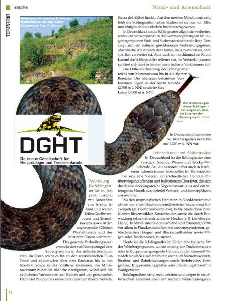 Copyright AiS - Deutsche Gesellschaft für Herpetologie und Terrarienkunde e. V. Bild zum Eintrag (68107-160)