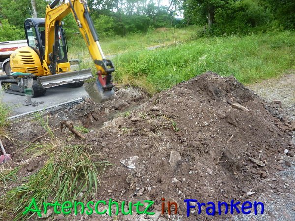 Bild zum Eintrag (68177-160)