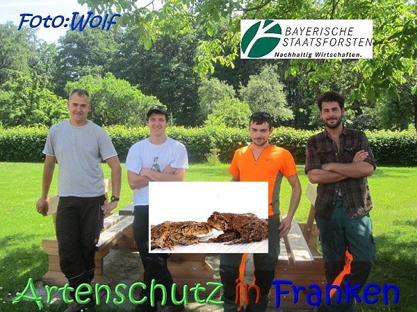 Copyright AiS Wolf Bild zum Eintrag (68232-160)