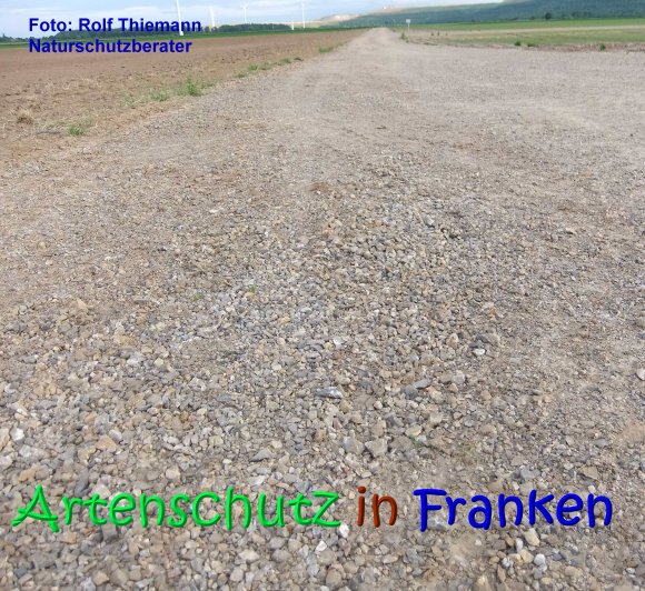 Copyright AiS Rolf Thiemann Bild zum Eintrag (68359-160)