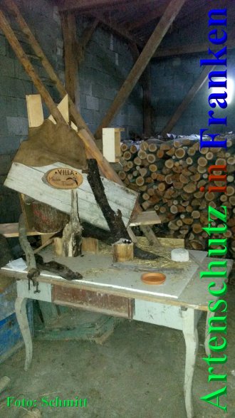 Copyright AiS Sina Schmitt Bild zum Eintrag (68426-160)