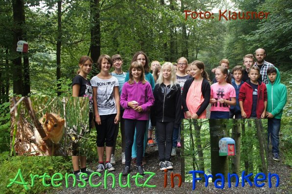 Copyright AiS Klausner Bild zum Eintrag (68697-160)
