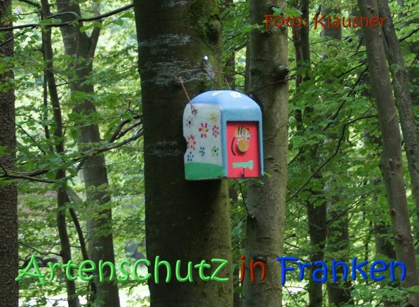 Copyright AiS Klausner Bild zum Eintrag (68698-160)
