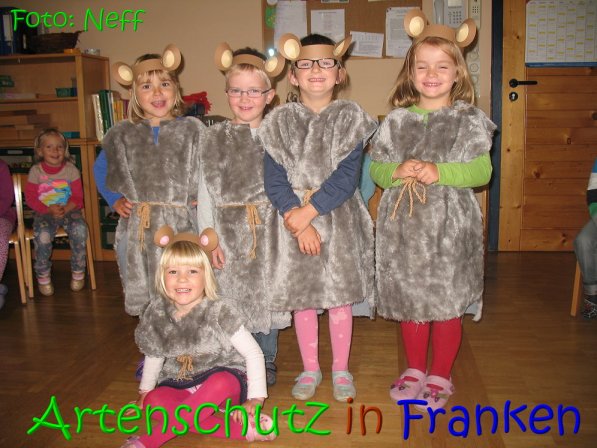 Copyright AiS Neff Bild zum Eintrag (69096-160)