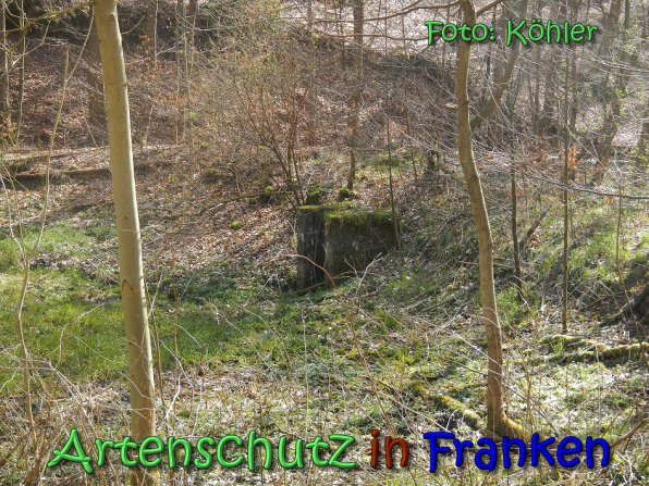 Copyright AiS Köhler Bild zum Eintrag (69151-160)