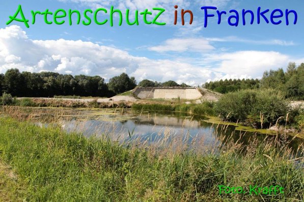 Copyright AiS Clemens Krafft Bild zum Eintrag (69430-160)