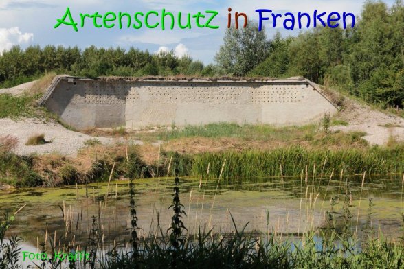 Copyright AiS Clemens Krafft Bild zum Eintrag (69431-160)
