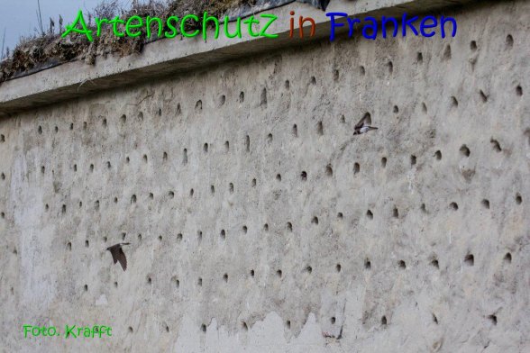Copyright AiS Clemens Krafft Bild zum Eintrag (69436-160)