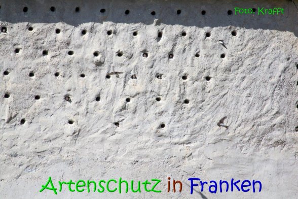 Copyright AiS Clemens Krafft Bild zum Eintrag (69437-160)