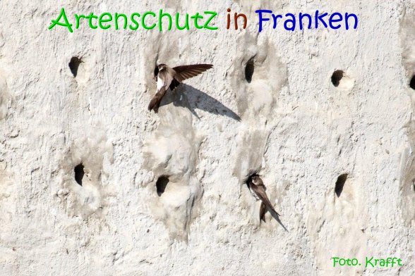 Bild zum Eintrag (69442-160)